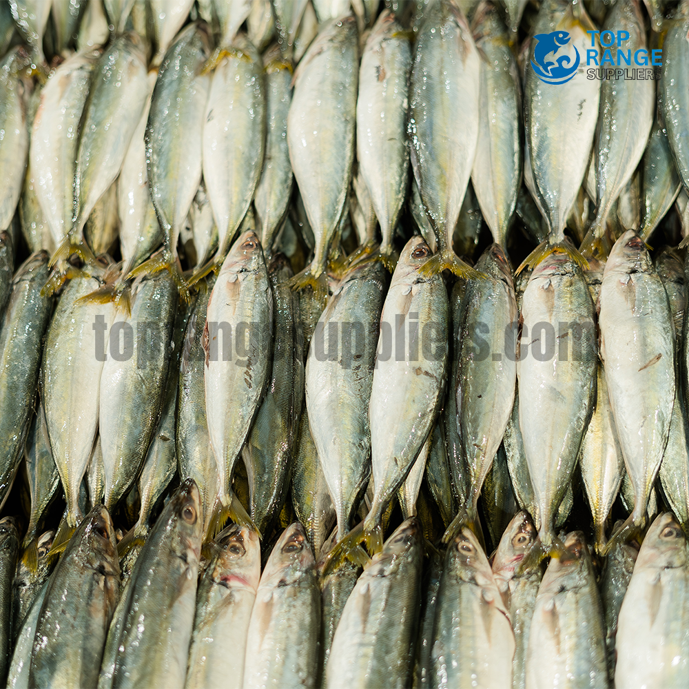 Linna Top Range Suppliers Seafood Delivery in Sri Lanka
