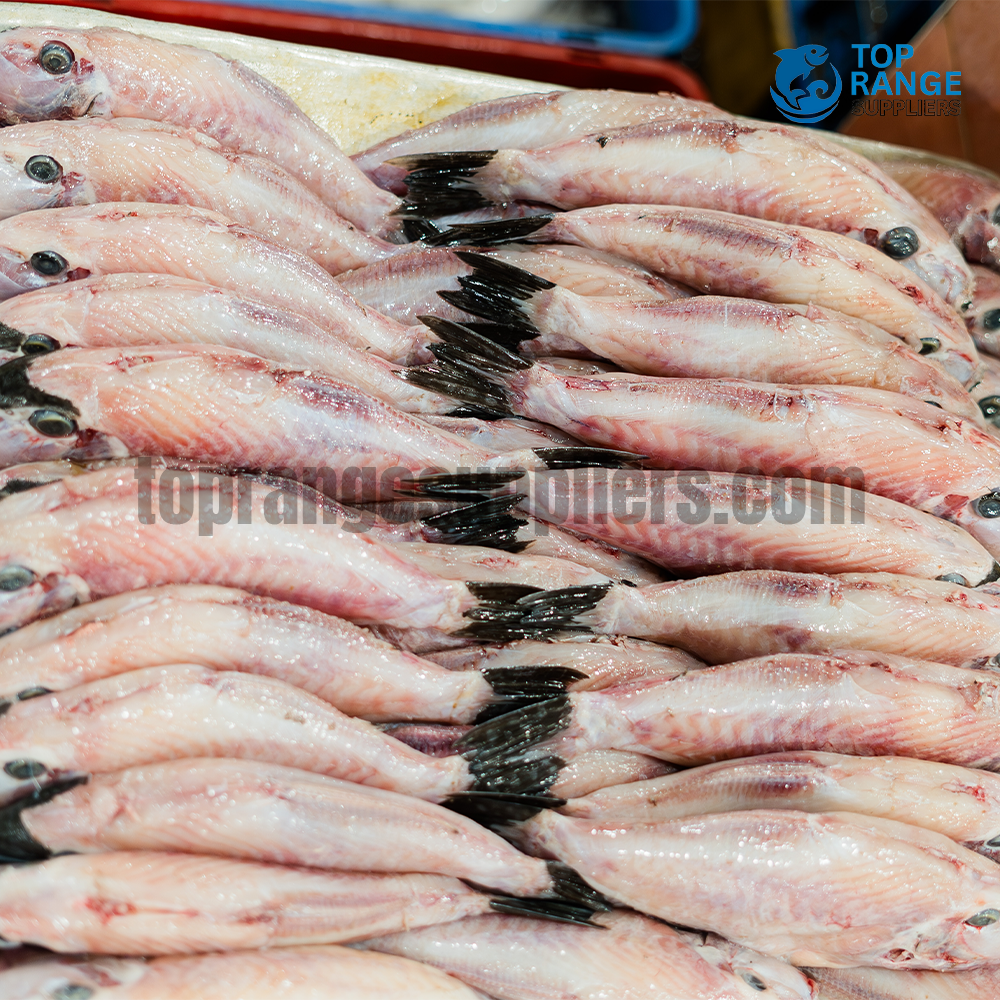 Cleaned Pothubari Top Range Suppliers