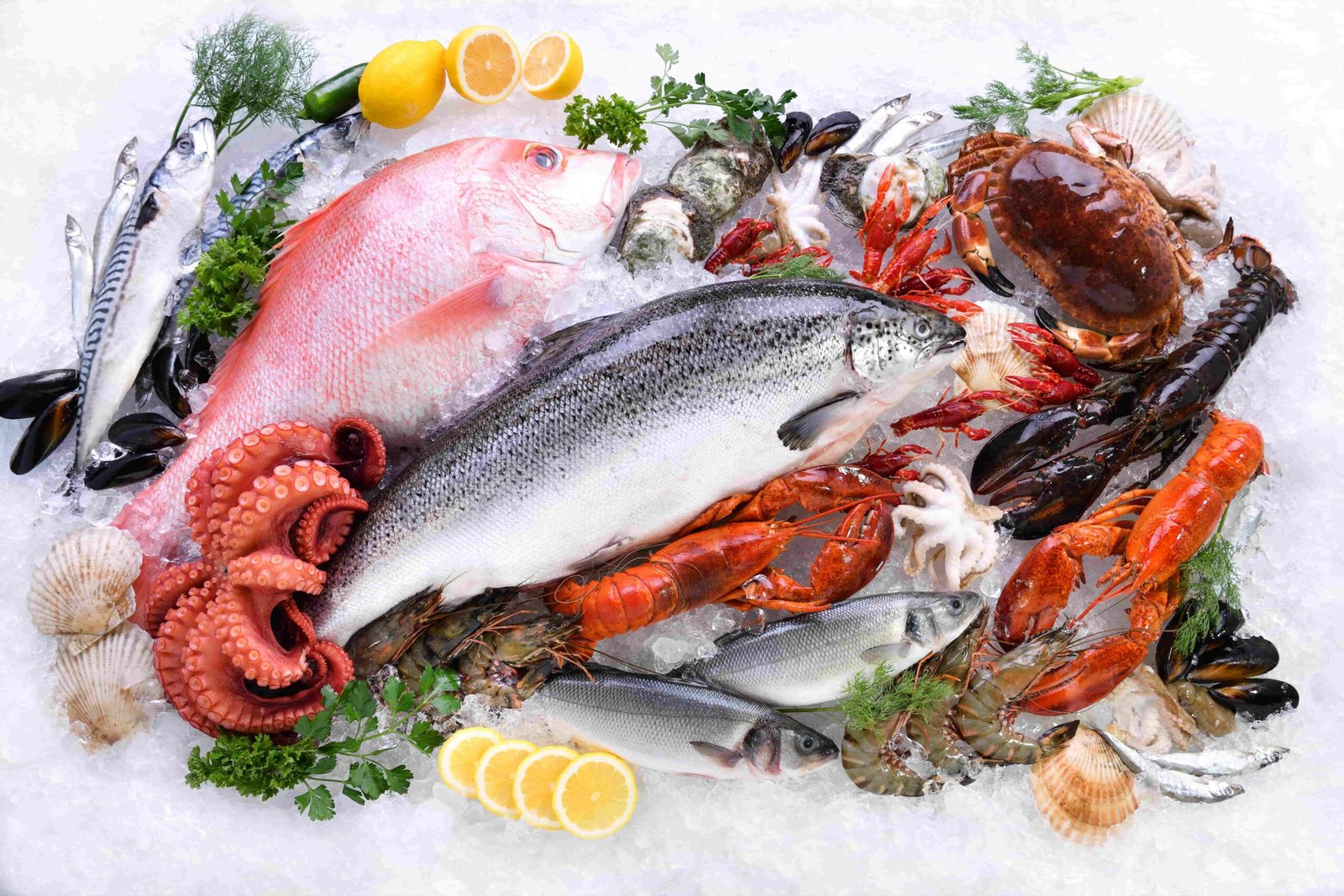 Expertise You Can Rely On top range suppliers