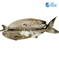 Nari Queen Fish Top Range Suppliers Seafood Delivery in Sri Lanka