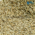 Fresh Rice Prawns Top Range Suppliers