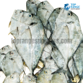 Kannadi paraw Mirror trevally Top Range Suppliers Seafood Delivery in Sri Lanka