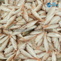 Sudda Fish Top Range Suppliers