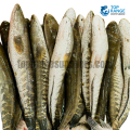 Lulla Top Range Seafood Suppliers seafood delivery sri lanka ratmalana