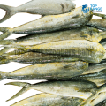 Mahi Mahi Whole fish Top Range Suppliers Seafood Delivery in Sri Lanka