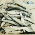 Needle Fish Kabaraya Top Range Seafood Suppliers Seafood Delivery in Sri Lanka