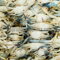 Blue Swimming Crab Top Range Seafood Suppliers