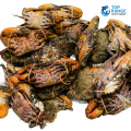 Red Crab Top Range Seafood Suppliers seafood delivery sri lanka ratmalana