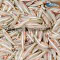 Hadalla Large Top Range Suppliers Seafood Delivery in Sri Lanka