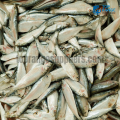 Salaya Top Range Suppliers Seafood Delivery in Sri Lanka