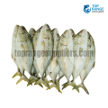 Trevally Paraw Top Range Suppliers Seafood Delivery in Sri Lanka